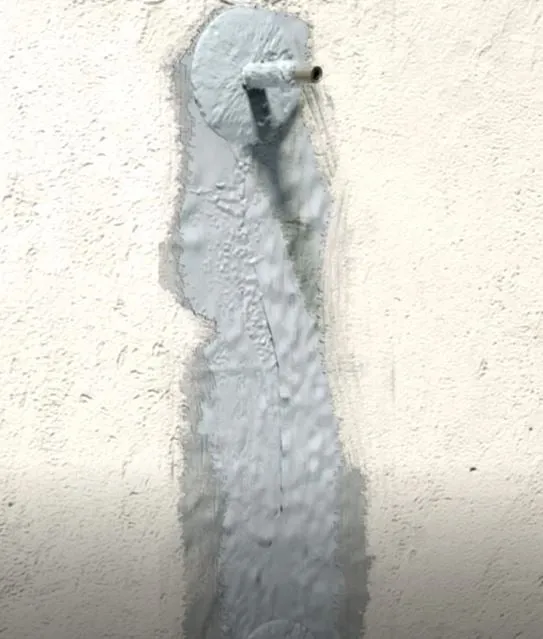 סיקדור 31 פלוס